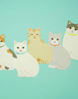 Illustration of five cats on a light blue background