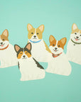 Illustration of five corgis on a teal background