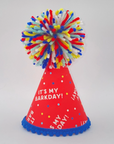 It's My Barkday Pet Party Hat