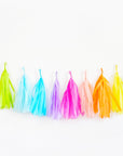 Bright Rainbow Tassel Garland