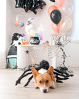 Sparkle Bat Balloon