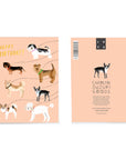 Out For a Walk Birthday Card
