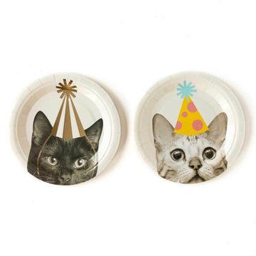 party hat cat plates