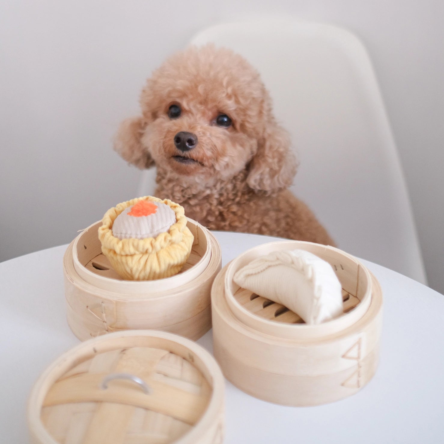 Dog looking at two dimsum dog toys in wooden steamers