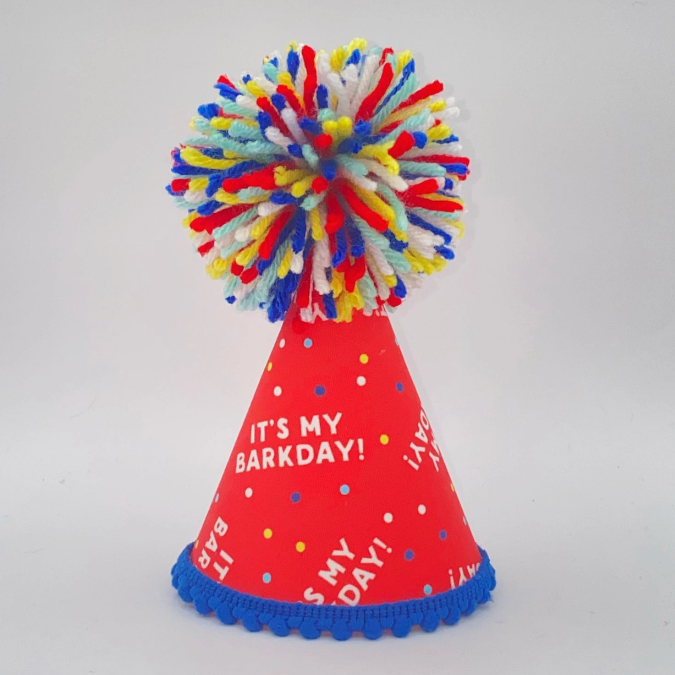 It's My Barkday Pet Party Hat