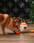 Orange Jam Interactive Dog Toy