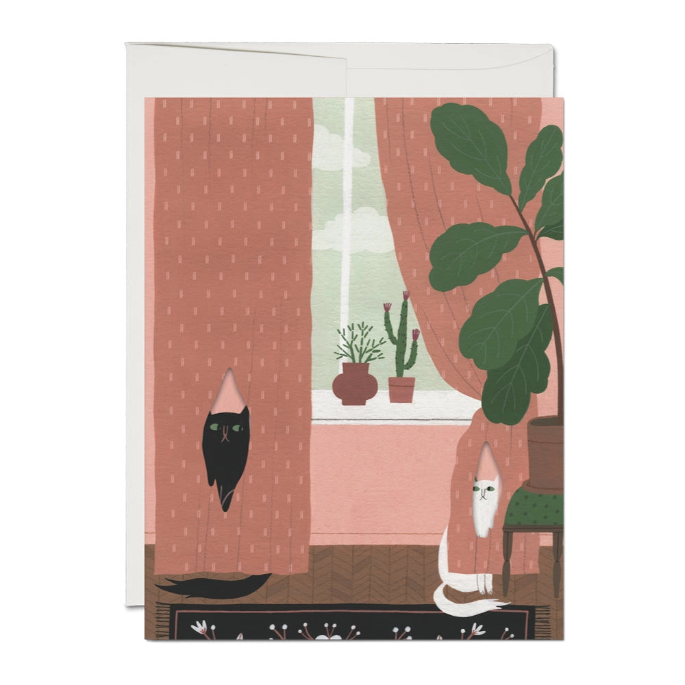 A greeting card featuring an illustration of a cat looking out of a window, with a plant and a cactus inside. The window has pink curtains, and there is a sense of intimacy in the composition.