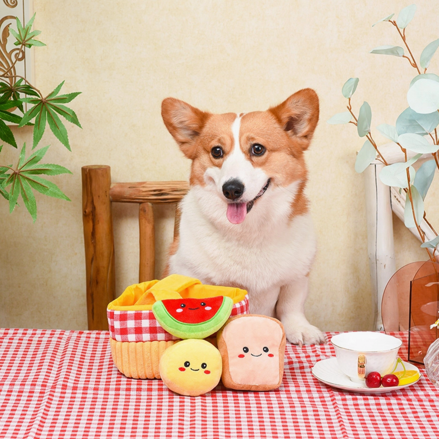 Picnic Basket Interactive Dog Toy