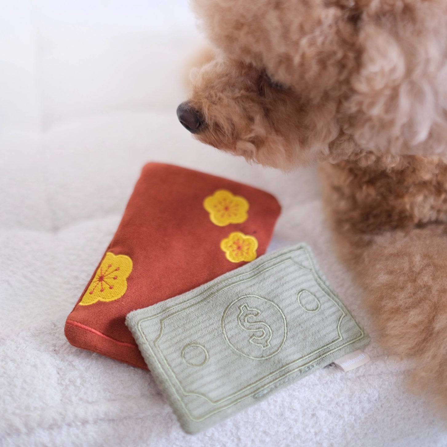Red envelope and faux money dog toy with brown dog