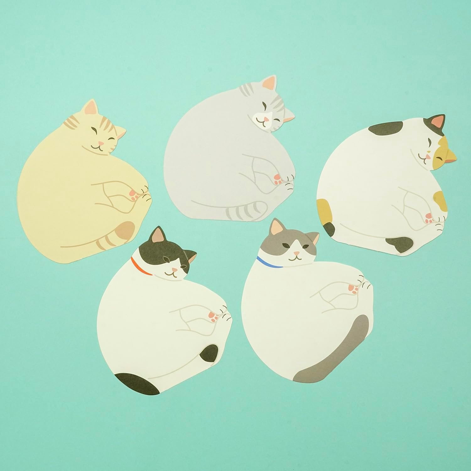 Illustrations of cats in various poses on a teal background