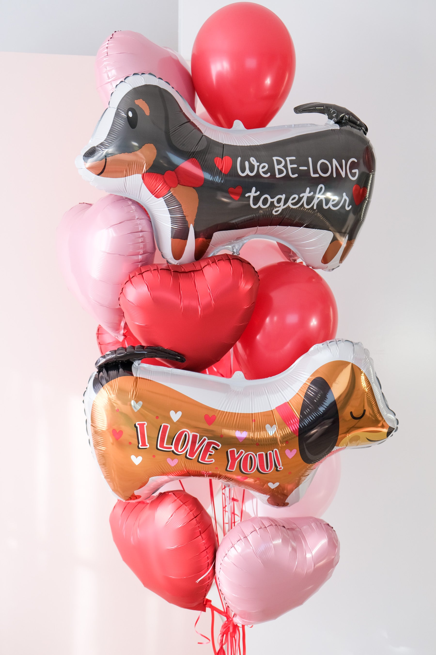 A closer photo of the the large balloon bouquet with two dog-shaped balloons that say "We Be-Long Together" and "I Love You" with heart balloons