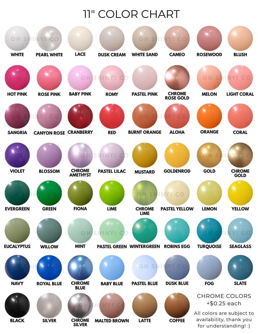 Balloon Set - make your own latex balloon bouquet!