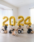 A corgi  is sitting in front of balloon stacks arranged to form the numbers '2024' in gold with black and white balloons around them, displayed indoors.