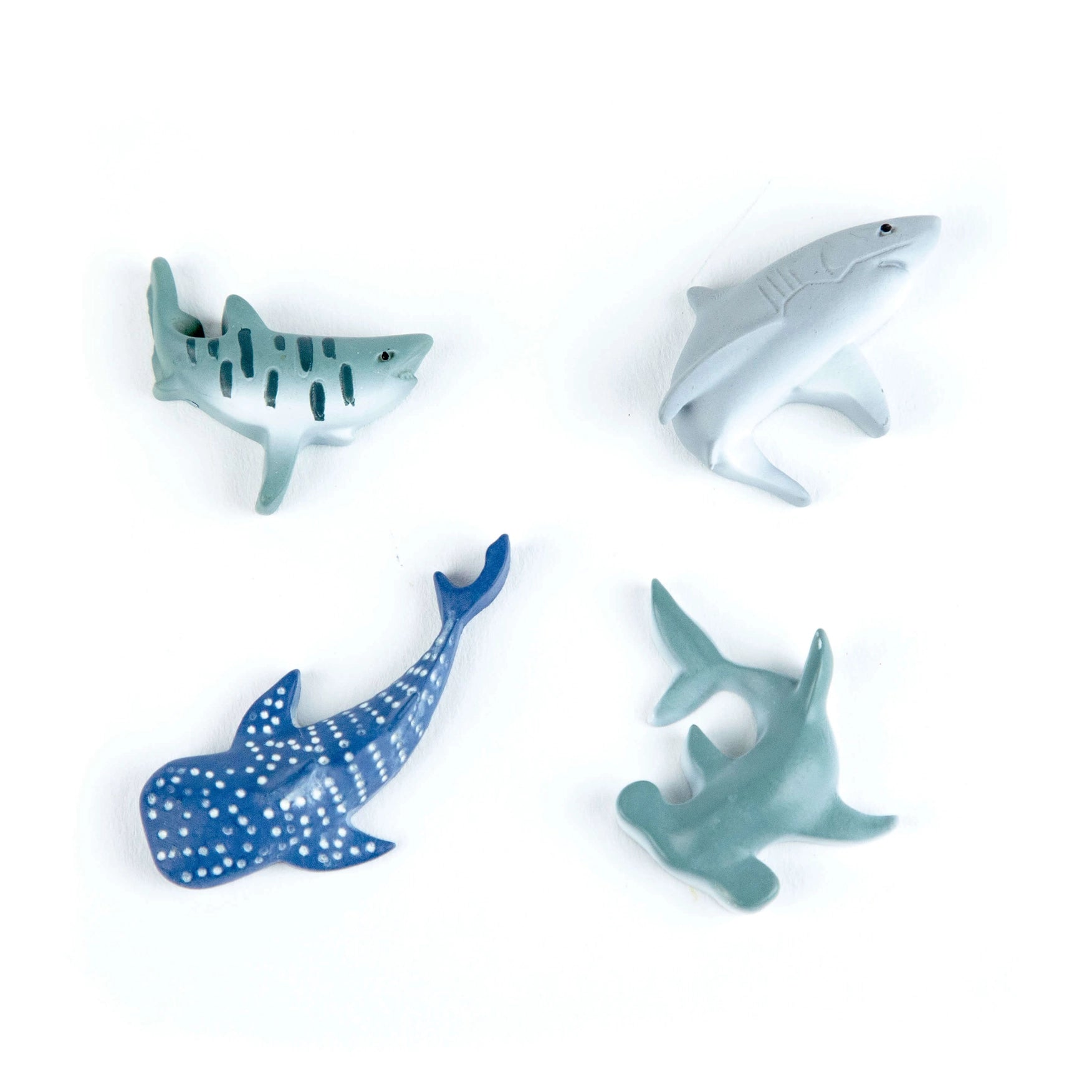 Four shark-shaped bottle openers on a white background