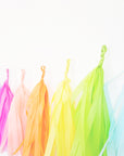 Bright Rainbow Tassel Garland