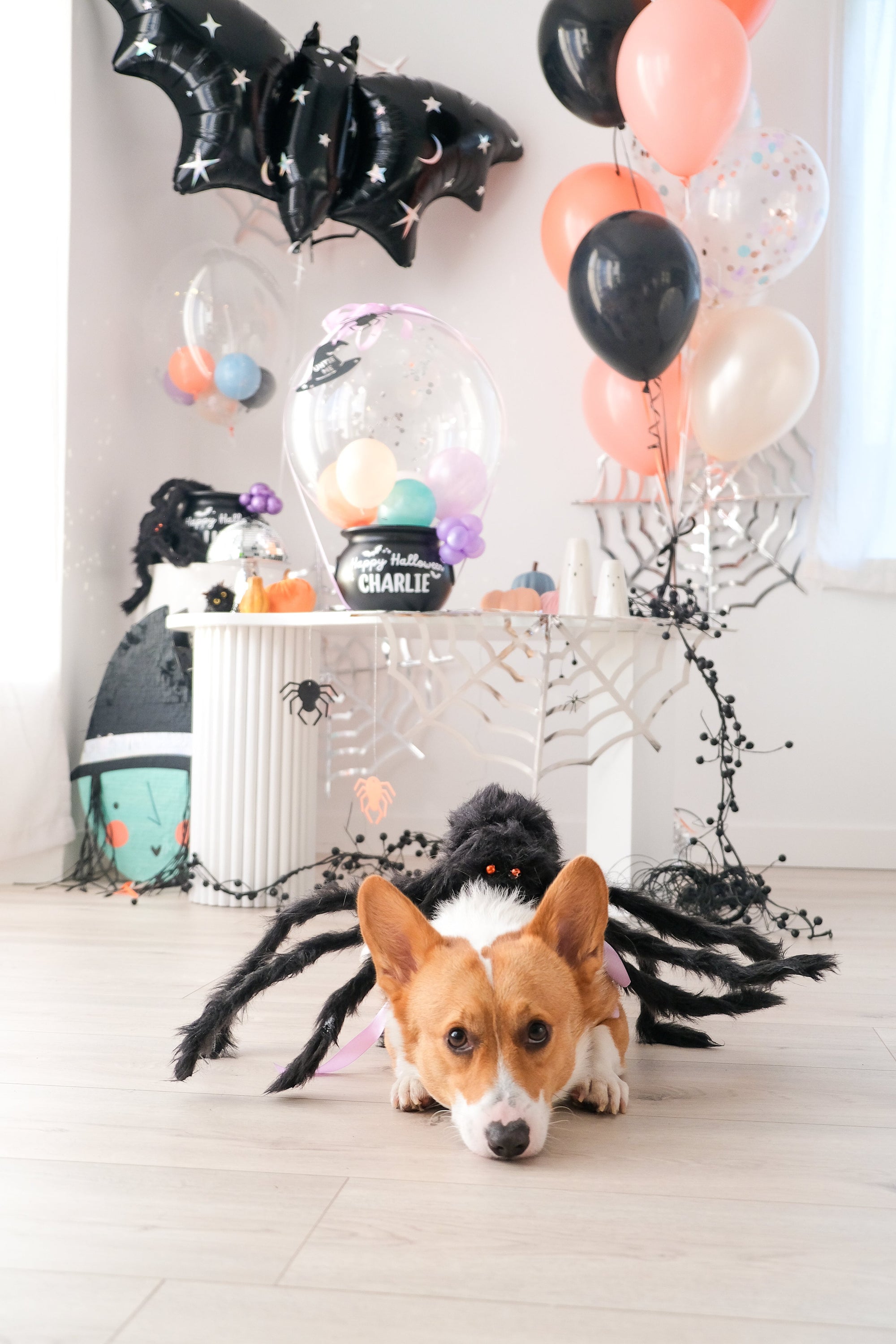 Sparkle Bat Balloon