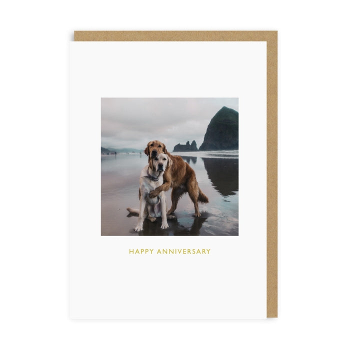 Anniversary Beach Dogs Card