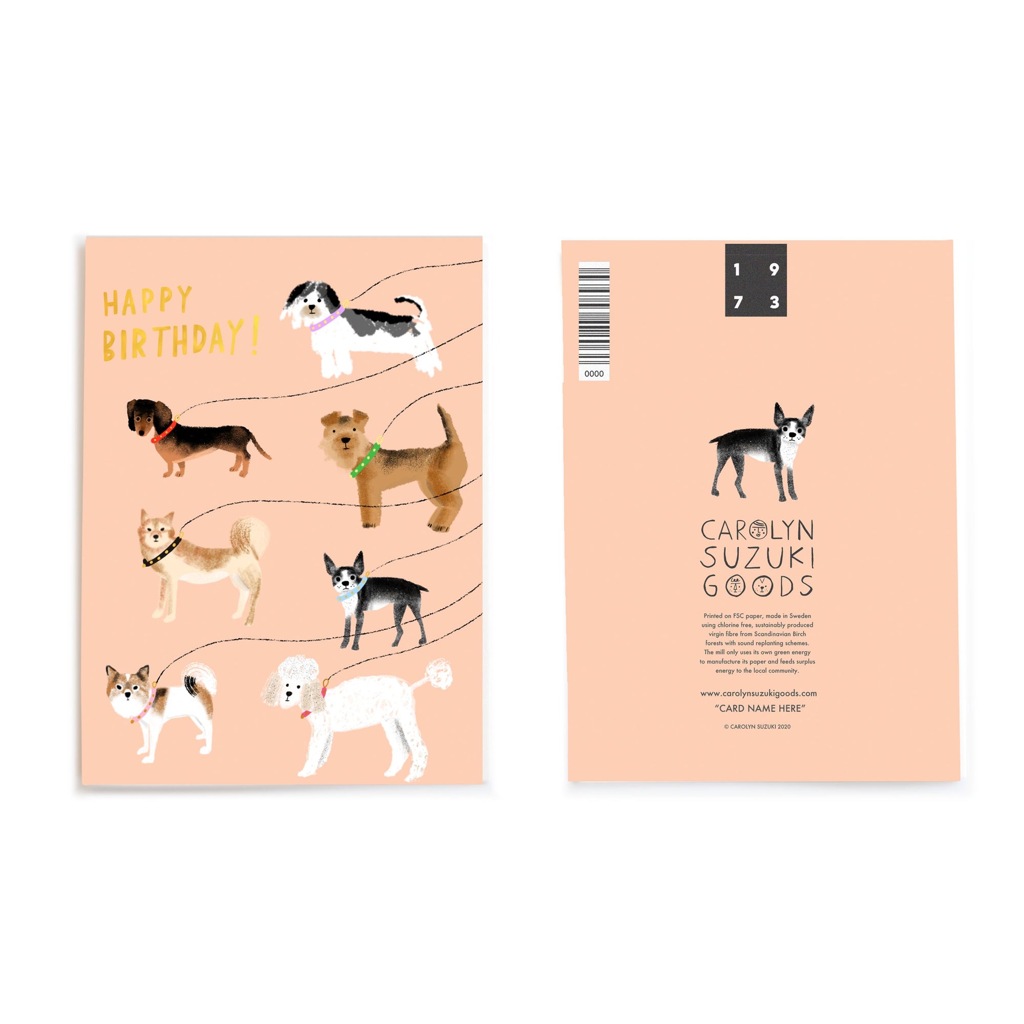 Out For a Walk Birthday Card