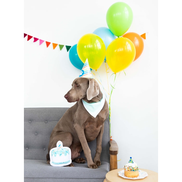 Pet Birthday Pawty Kit