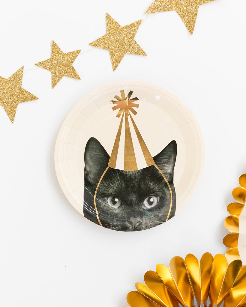 party hat cat plate