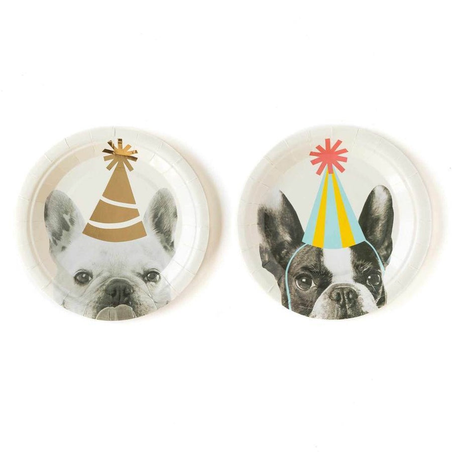 party hat dog plates