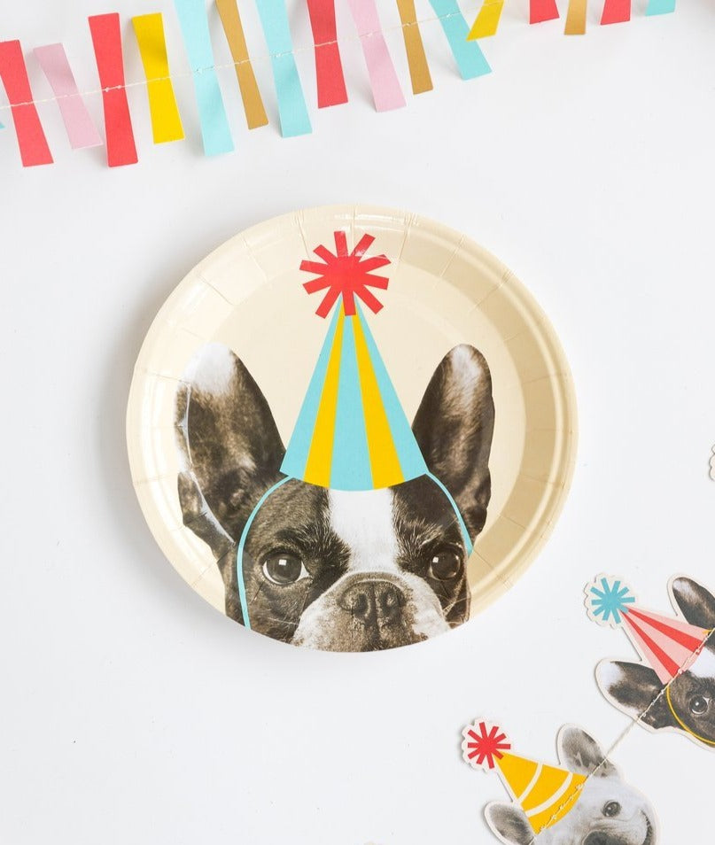 party hat dog plate