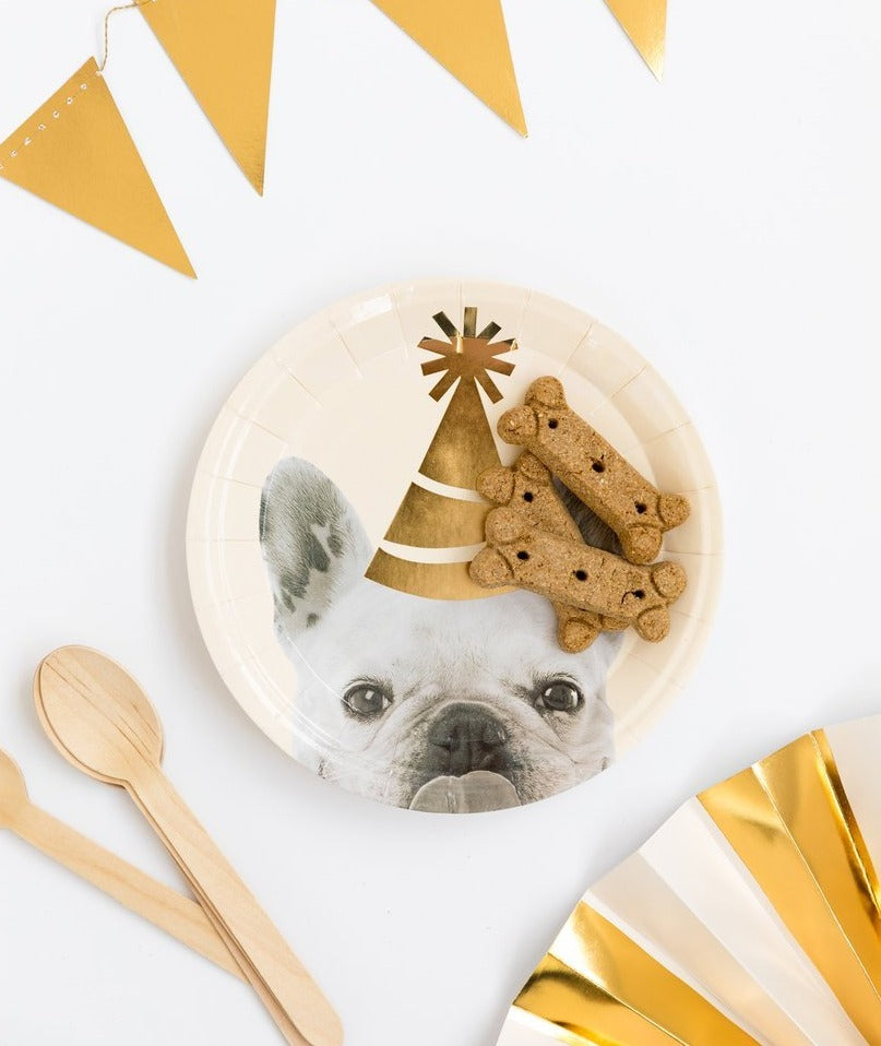 party hat dog plate