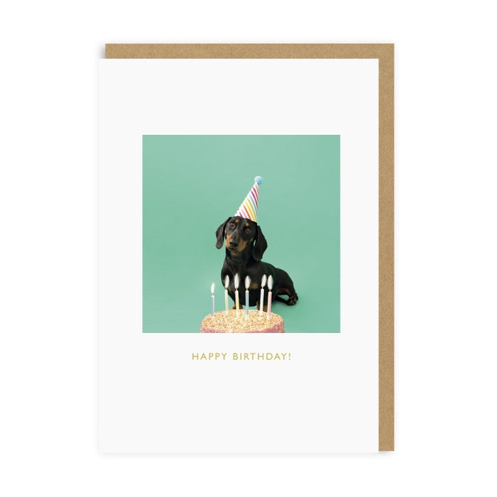 Puppy Happy Birthday Card