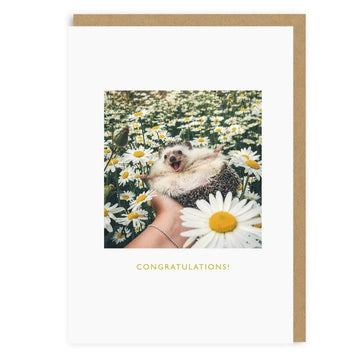 hedgehog in flower field congratulations greeting card
