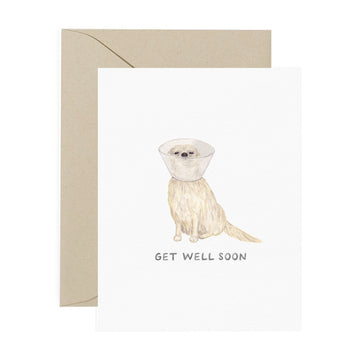 dog cone get well soon greeting card