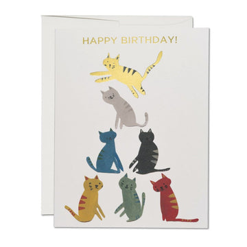kitten cat birthday card 