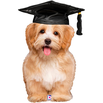 puppy dog grad cap balloon