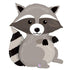 raccoon balloon