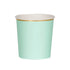mint paper tumbler cup