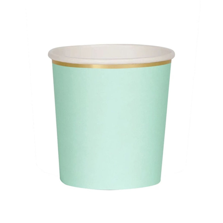 mint paper tumbler cup
