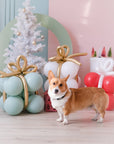 Balloon Popping Present