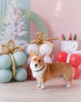 Balloon Popping Present