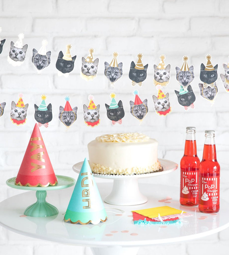 Party Cat Banner