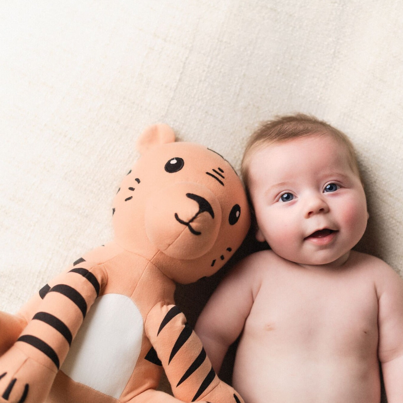 Tiger Plush